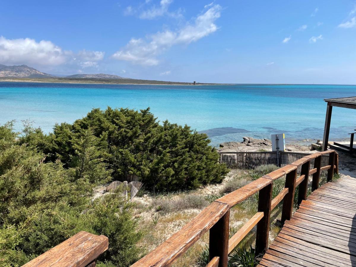 I Pescatori Di Stelle-L12 Altair Villa Stintino Eksteriør bilde